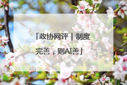 政协网评｜制度完善，则AI善